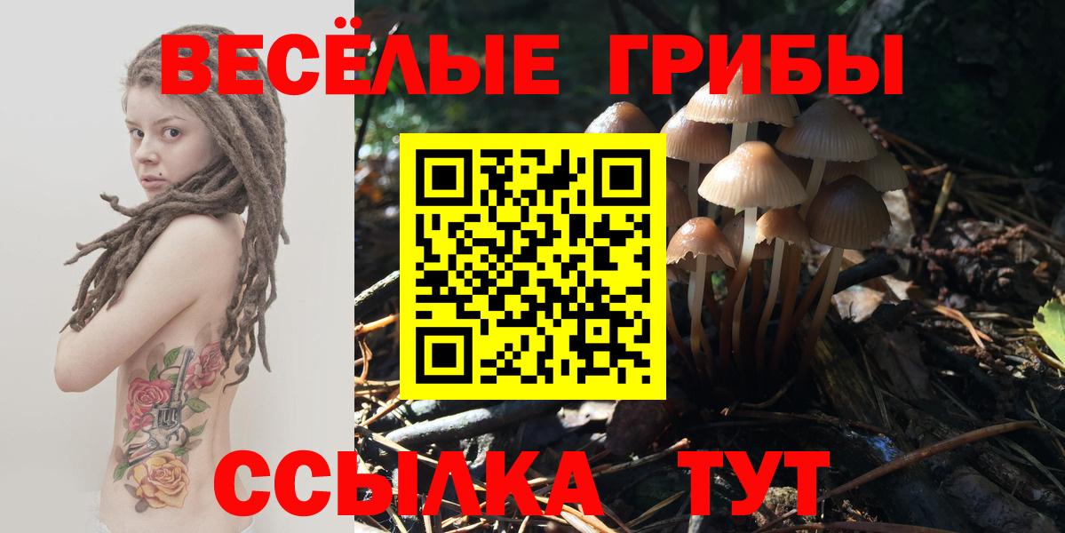 Ростов Великий  Галлюциногенные грибы прущие грибы  Псилоцибиновые грибы MAGIC MUSHROOMS  Вход с VPN 