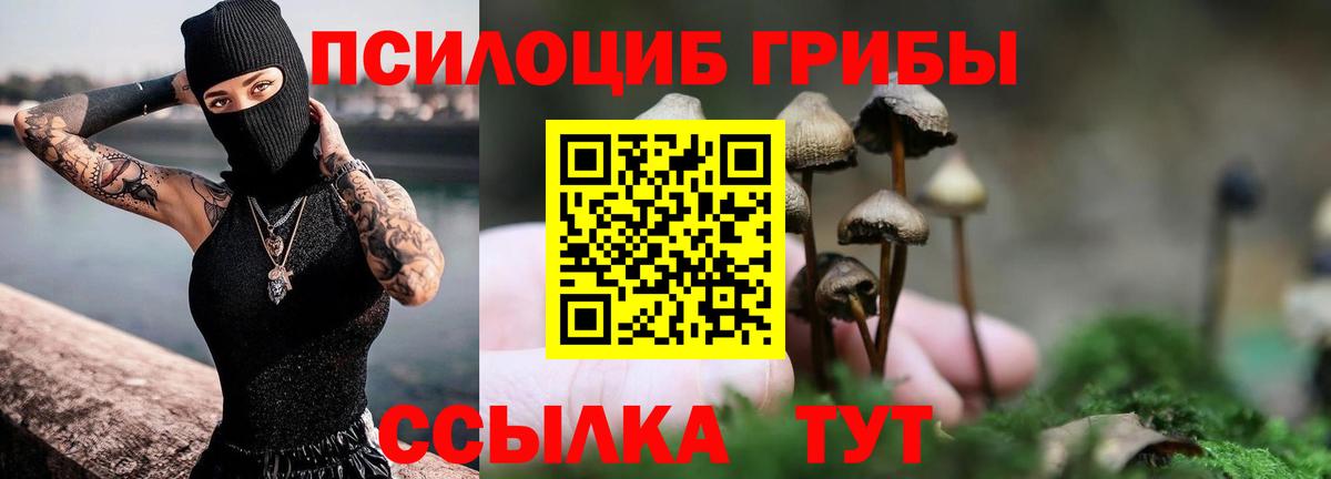 Псилоцибиновые грибы мицелий Ростов Великий