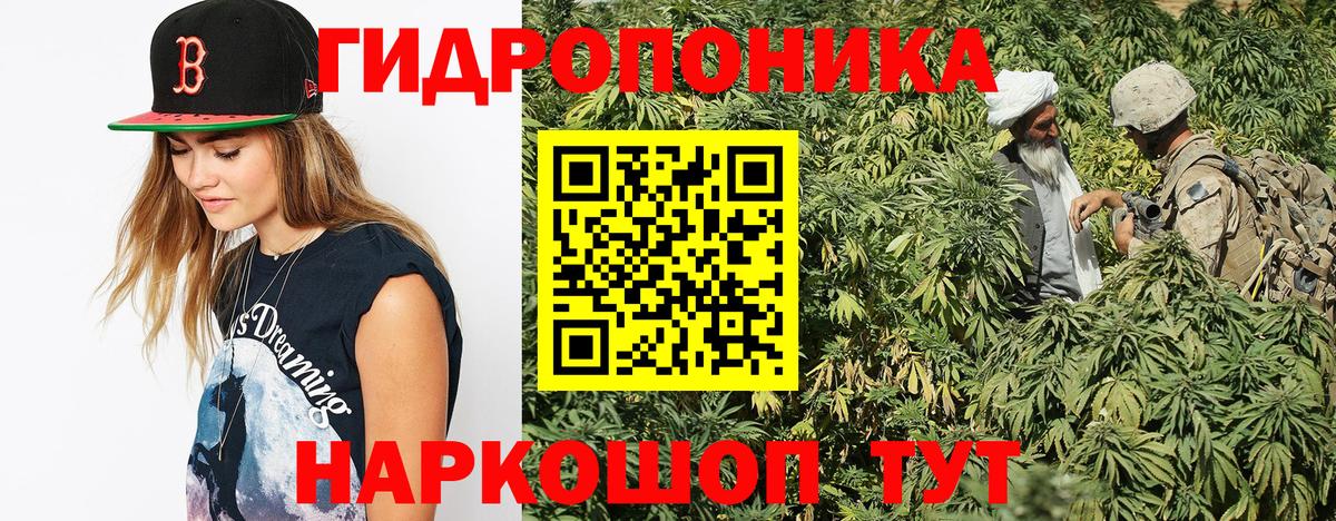 Бошки марихуана MAZAR  Вход с VPN  Марихуана ГИДРОПОН  Ростов Великий  Конопля тримм 
